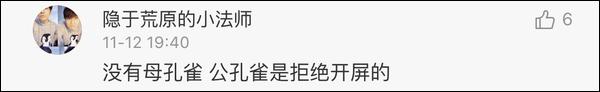 双11购物气死丈夫,双11成交惊呆老外