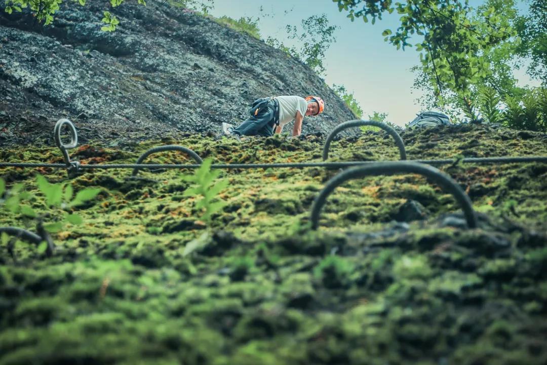 江西端午节免门票景点,江西人去上海旅游怎么玩