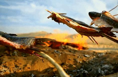 治愈系风景一辈子总要去一次新疆,去新疆的路上看不一样的风景