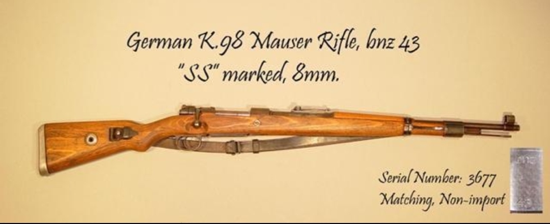 英国枪史图册全篇,德国枪图片