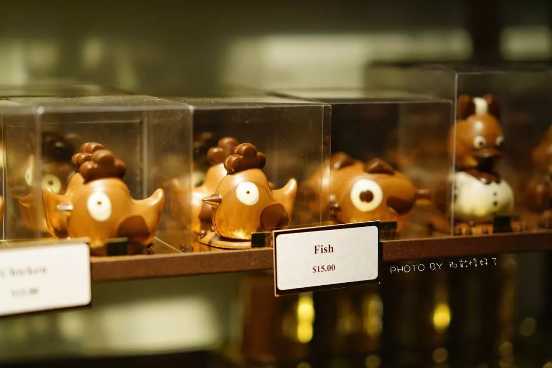 去哪里旅游可以看南极企鹅,旅游攻略南极看企鹅