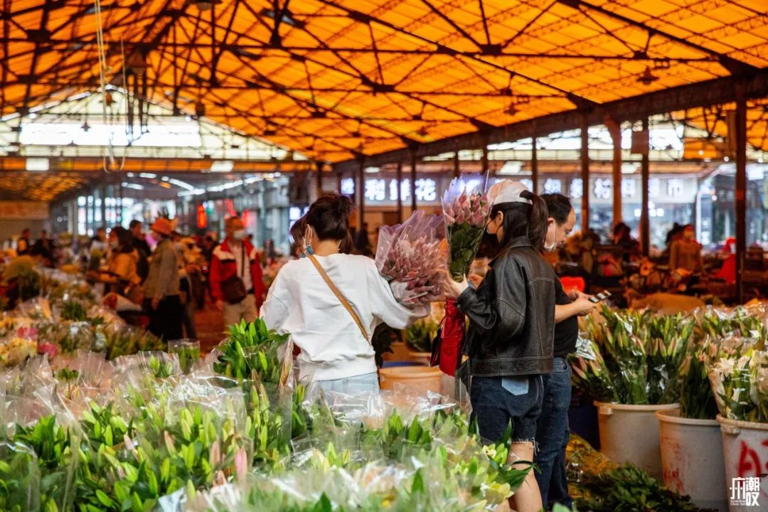 广州最便宜的花卉市场1块钱,广州岭南花卉市场买花攻略
