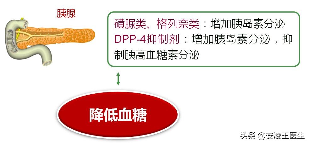 西格列汀使用多久稳定血糖,吃一片西格列汀能降多少血糖