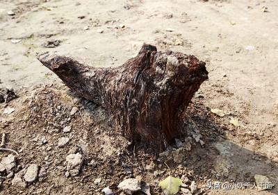 自制尿不湿裤,布做的尿不湿裤