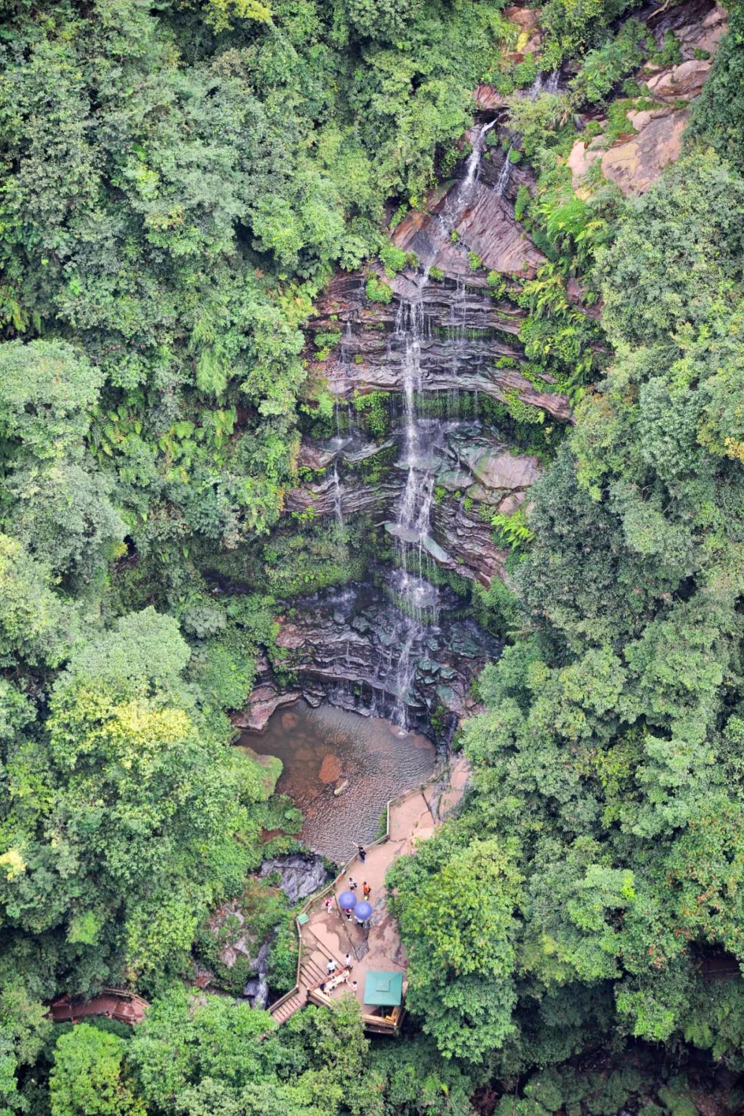 雅安这几天发生的车祸,这就是雅安原版