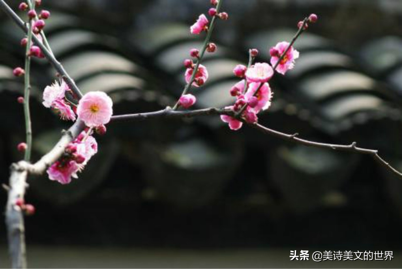 才子在墙上写了首7字诗，不少名家续写，却都不如一位酒鬼对得妙