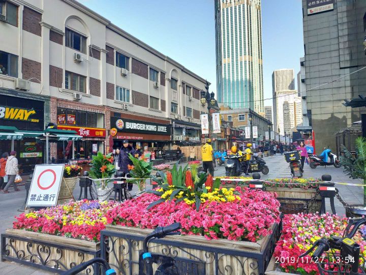 天津小白楼杂忆（三）作者：苏华