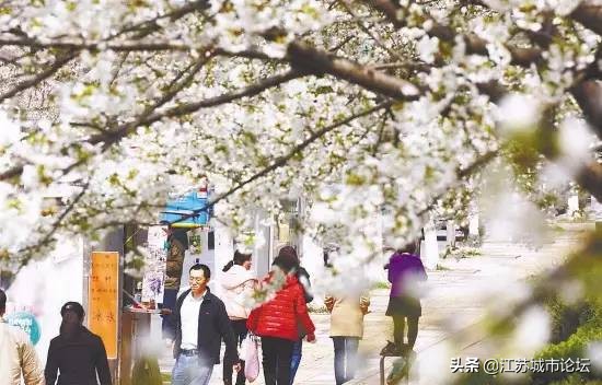 台湾学生拍电影,台湾mycity