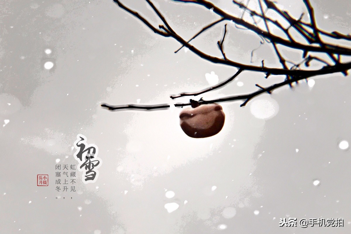 照片配诗怎么制作,如何给照片加诗词背景