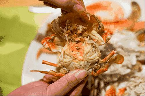 抚顺万达嘉华酒店自助餐,万达嘉华酒店自助餐