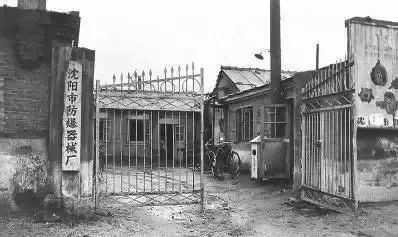 椰树牌椰汁从小喝到大广告,椰树广告我从小喝到大什么意思