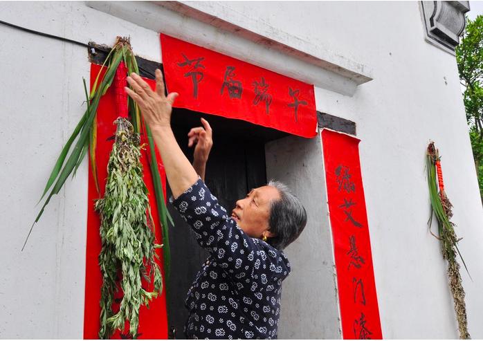 端午节为什么要挂艾草简短,端午节挂艾草是什么意思啊