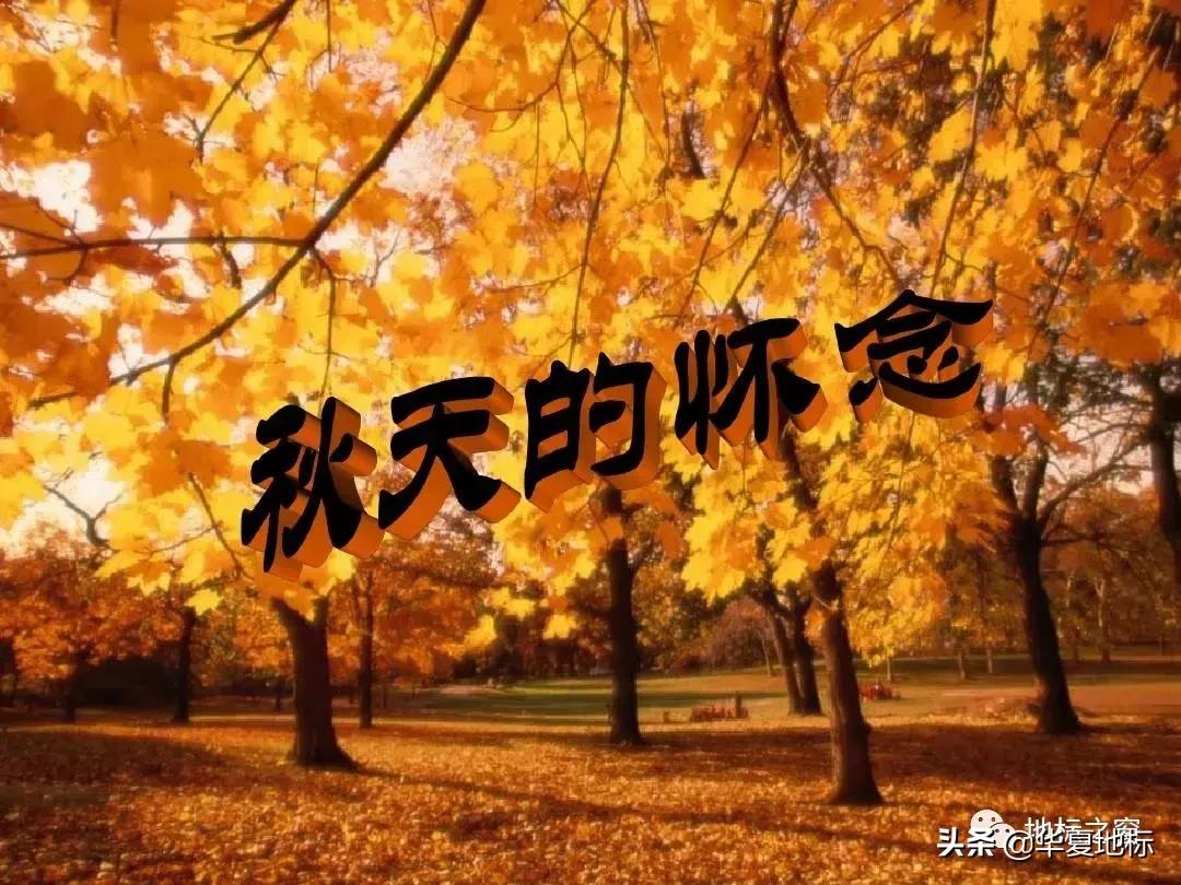 秋天的思念,秋天的思念完整版原唱