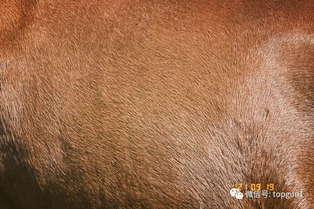 9月假期,9月很忙的句子