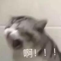 绘画基础教程从入门到精通书籍,绘画初学者每日一练