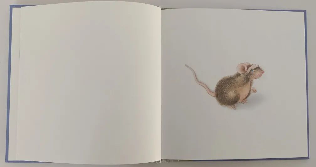 绘本3-6岁经典绘本米老鼠,适合小老鼠的绘本