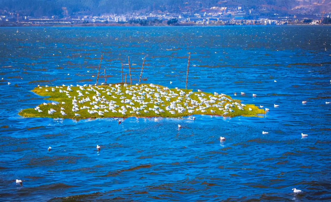 现在云南最值得去的地方,去云南最值得去的地方是哪里