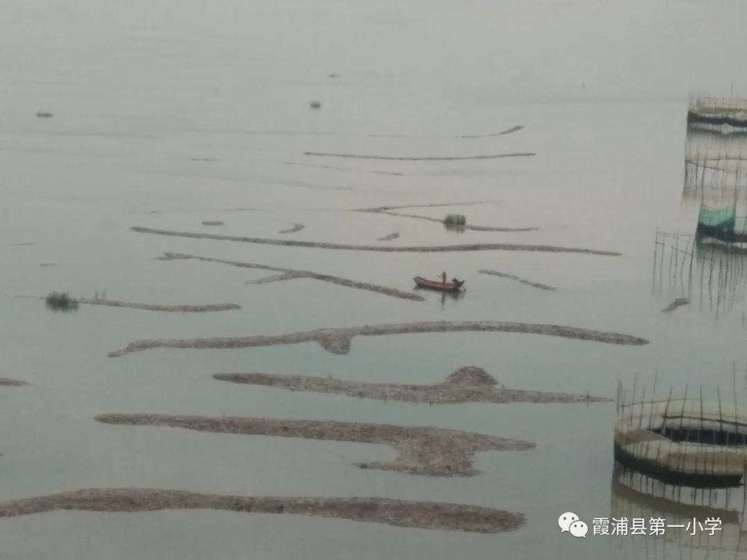 霞浦一中高一新生夏令营,霞浦县夏令营