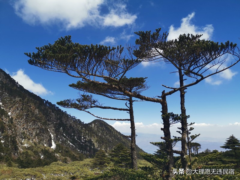 大理苍山一日免费游详细攻略,大理苍山旅游攻略自由行
