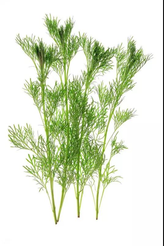 过敏原检测帮你找出过敏真凶,过敏原检测能查出29种过敏源