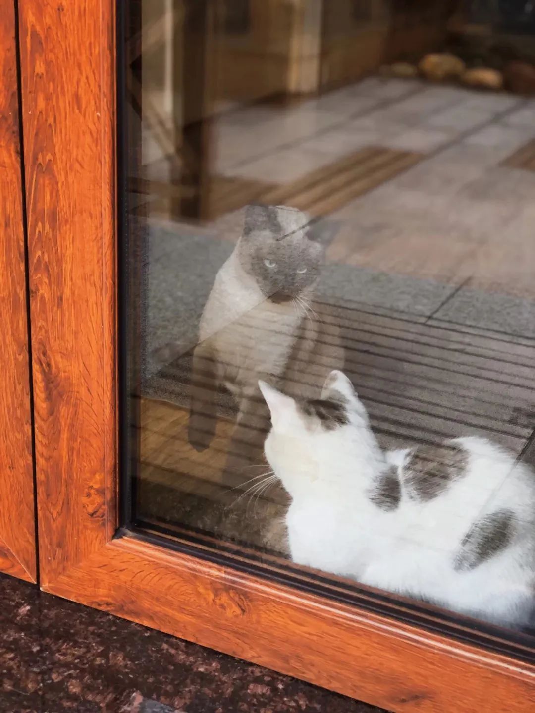 3天2夜游！它是被低估的海滨小城，藏着独属于11月的盛大美景|冬游齐鲁