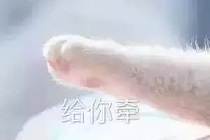 芽庄会给你留下遗憾吗,芽庄忠告