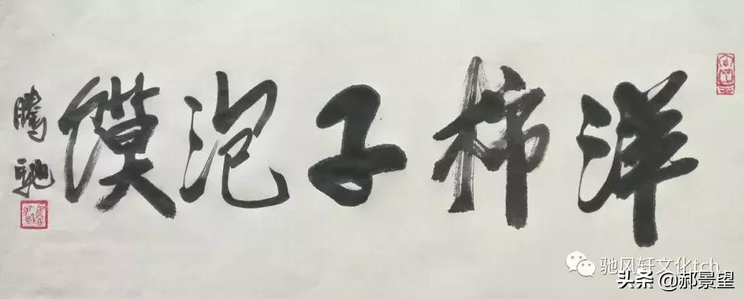 洋柿子泡馍,洋柿子作者