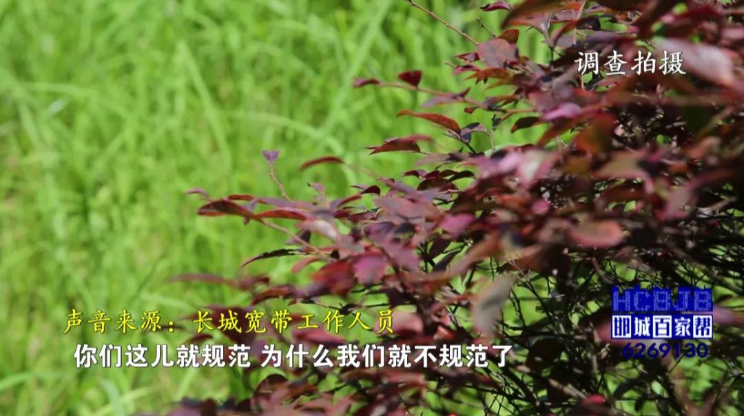 邯城百家帮,邯郸邯城百家帮