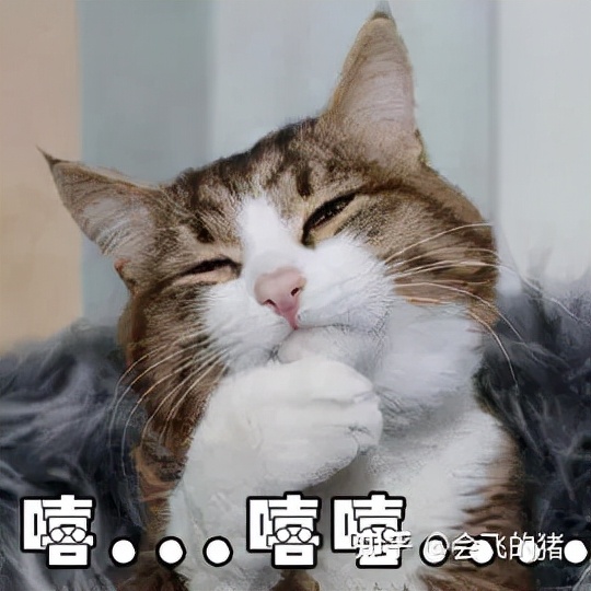 下载完简历模板要怎么编辑,简历编辑注意事项大全