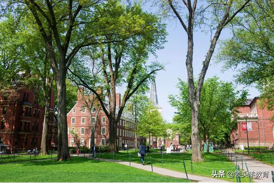 你了解大学究竟怎样招生吗？