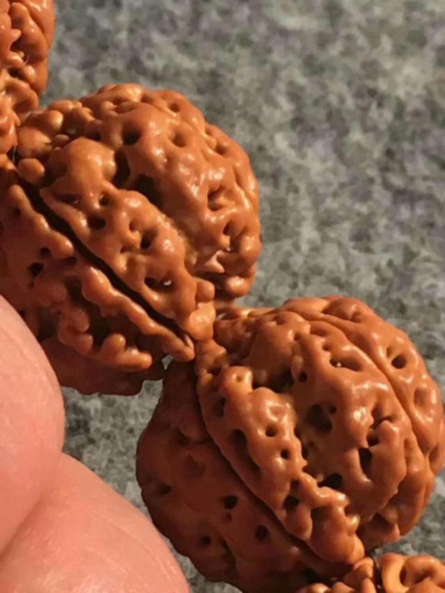 现在不玩金刚菩提了都玩什么,金刚菩提的基础知识