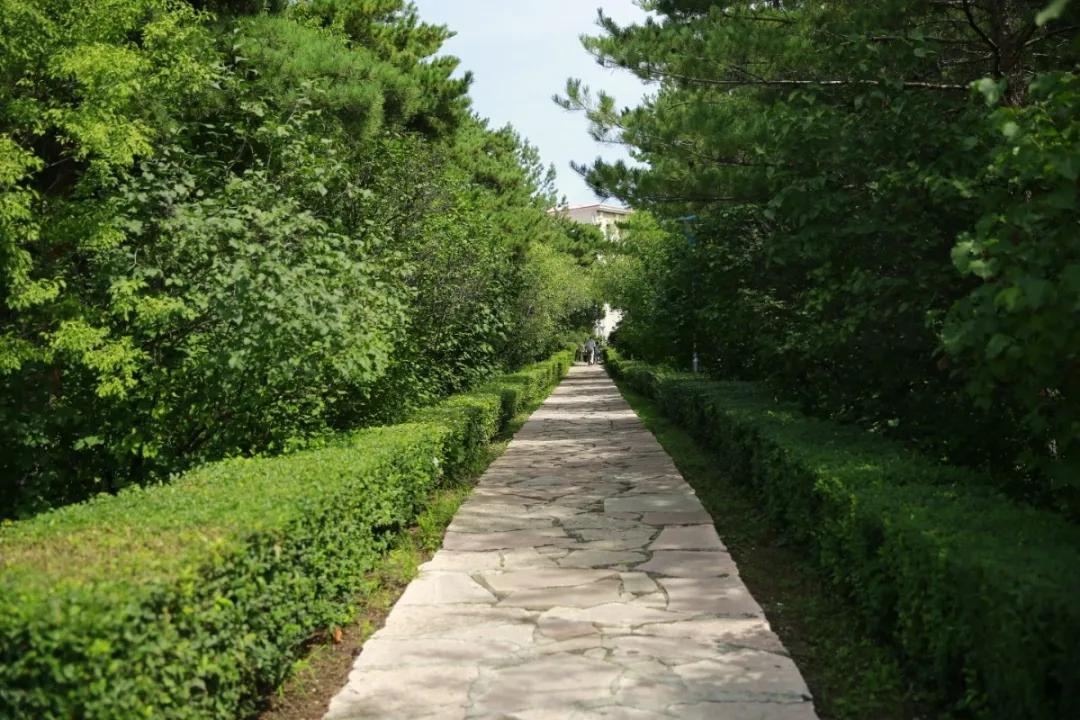 延边大学2020级新生开始报到,延边大学让家长送大一新生进学校