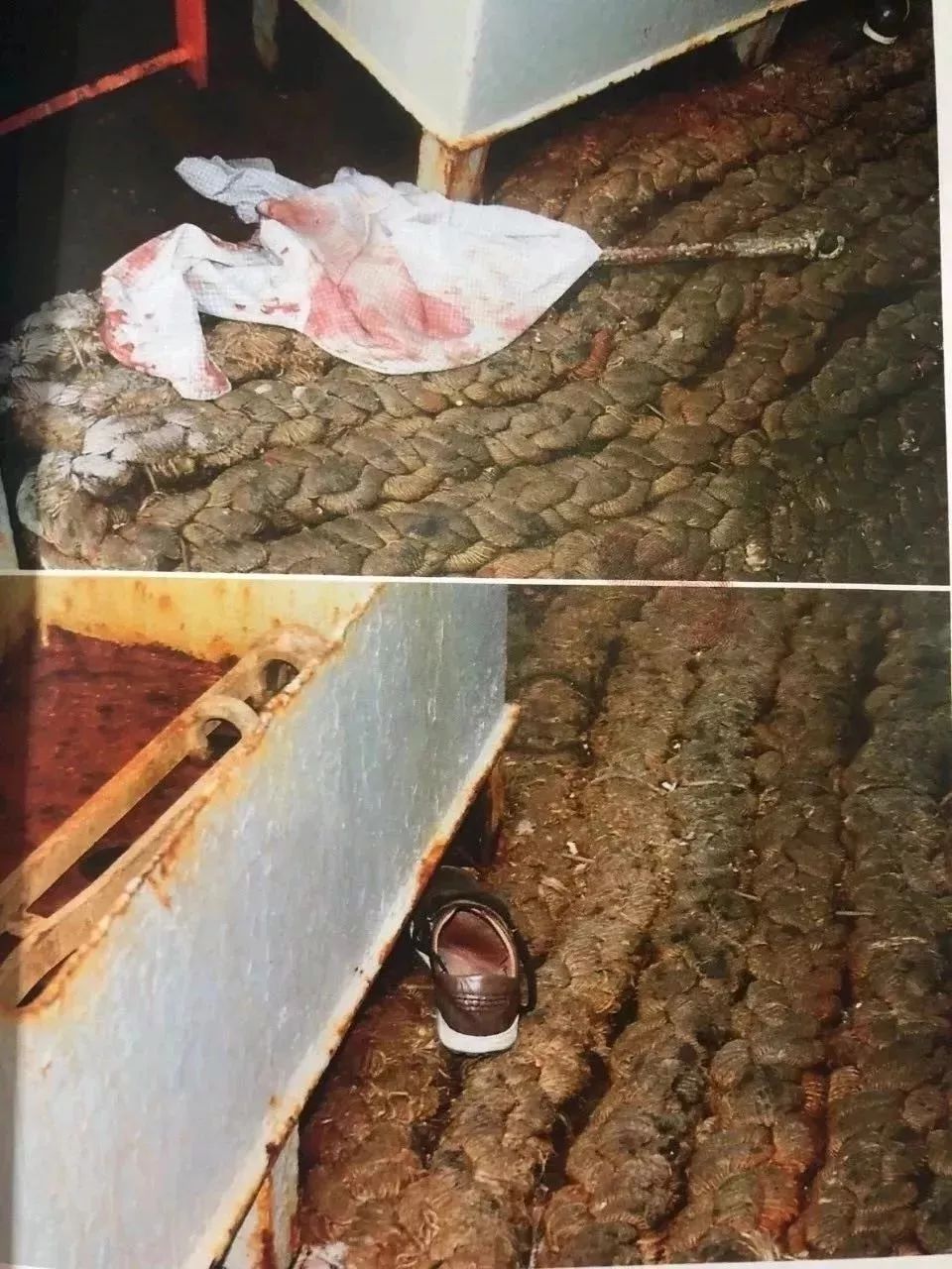 水手坠海身亡真相,海上船员被杀真实事件