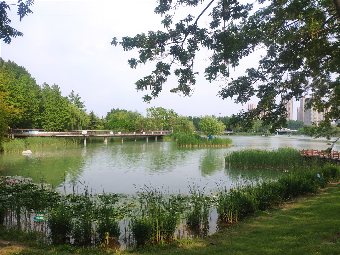 济宁244分与278分的大讨论，其实是南北城之间的博弈