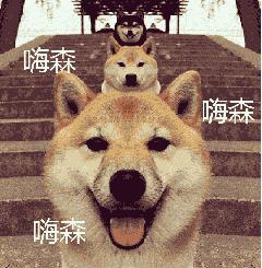 狂飙18级,狂飙18集公路飙车片段在哪