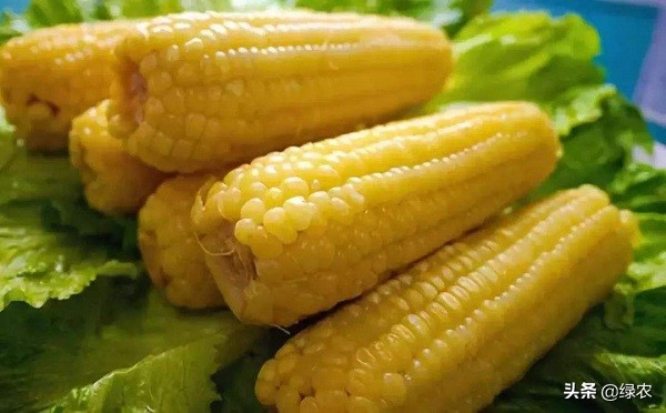 中国什么地方产的玉米最好吃？这5种特色玉米可能你听都没听过