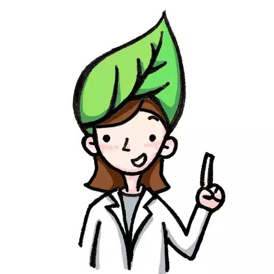 前牙磕掉一个小尖怎么修复,换过的牙磕掉了一小块怎么修复