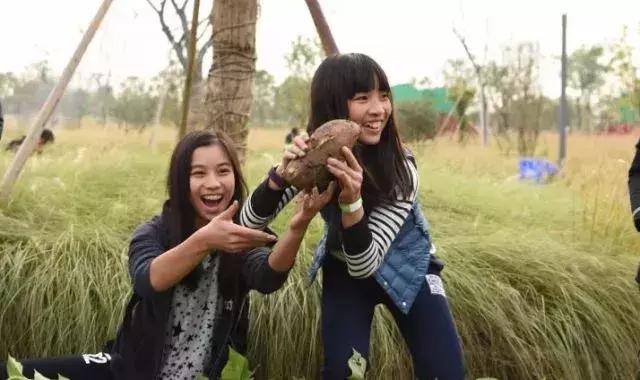水月周庄铂尔曼酒店夜景,水月周庄铂尔曼酒店是几星级酒店