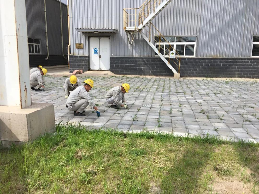 大唐煤制天然气阜新,大唐阜新煤制天然气有限责任公司