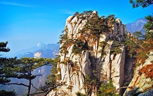 上海清静的旅游景点,上海周边清静的地方