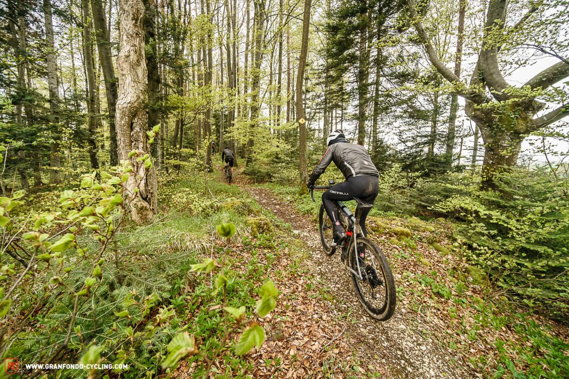 gravelbike推荐车型,gravel碳辐条轮组评测