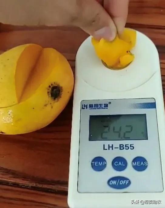 小台芒香甜滑嫩甜而不腻,台芒香甜多汁2.5斤