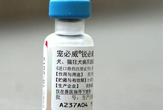 怀孕八个月被狗碰流产,怀孕七个月被狗咬了打了狂犬疫苗