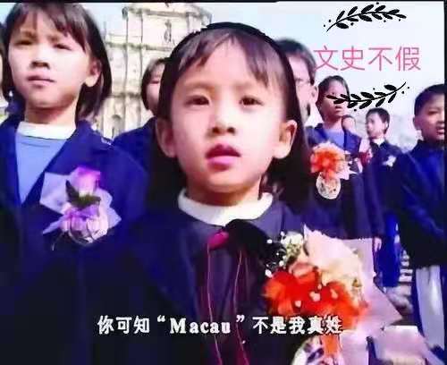 闻一多的七子之歌澳门读完的感受,闻一多写的七子之歌澳门