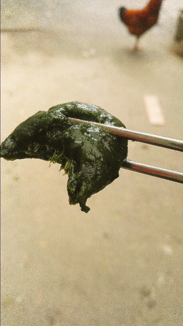 蛋黄艾草青团的正宗做法,艾草青团的做法和配方红豆沙馅