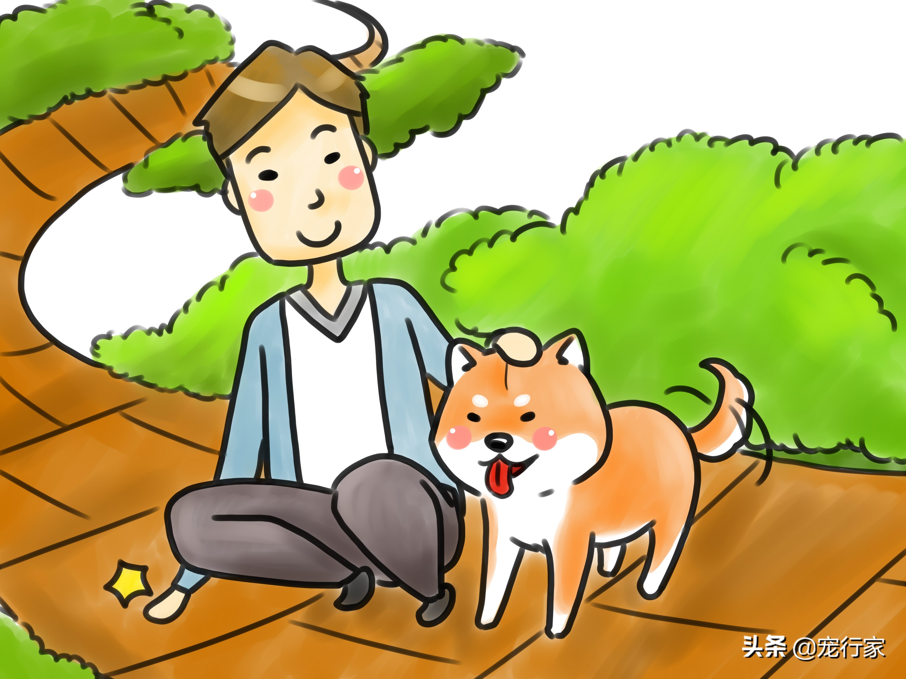 狗狗爪子受伤了流血了怎么办,狗狗爪子皮肉伤了用什么药