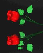 520情人节祝福送上真的太美了,最新的520情人节