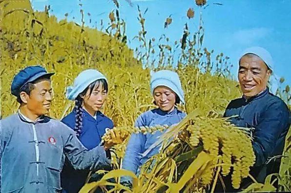 农业学大寨大寨村现况,农业学大寨指的是哪个大寨村