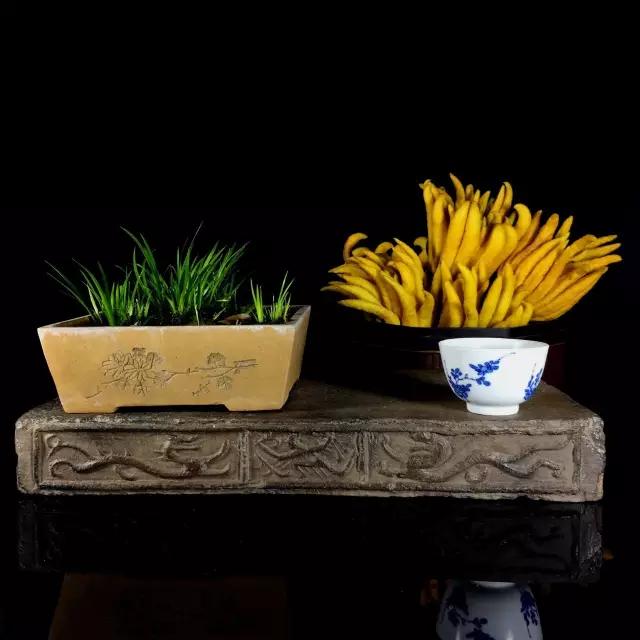 佛手只长叶不开花,佛手只有一种果子