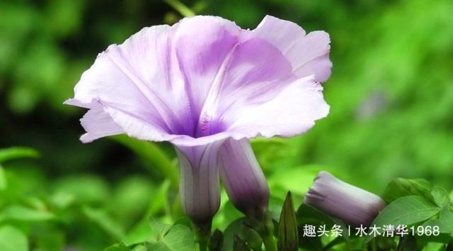 一方要离婚一方不愿意怎么办,一方要离婚一方不同意该怎么挽回